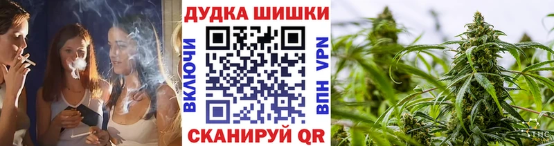 omg   Петровск-Забайкальский  мориарти как зайти  купить наркотик  Конопля Bruce Banner 